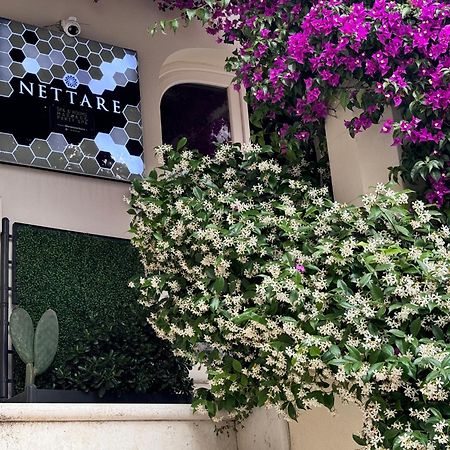 Dimora Nettare Hotel Brindisi Bagian luar foto